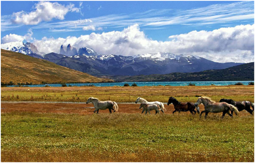 marvellous travelling destinations